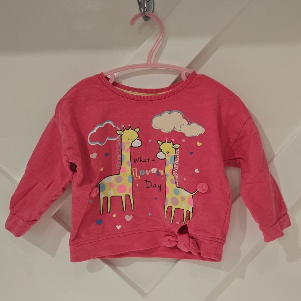 Pink Long Sleeve Tee with Whimsical Giraffe Design